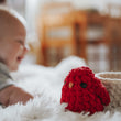 Load image into Gallery viewer, Ozzie the Hatching Cardinal