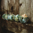 Load image into Gallery viewer, Hugo Diego the Caterpillar