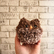 Load image into Gallery viewer, Chestnut the Hatching Owl
