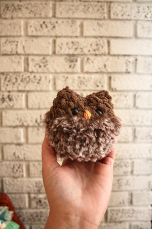 Chestnut the Hatching Owl